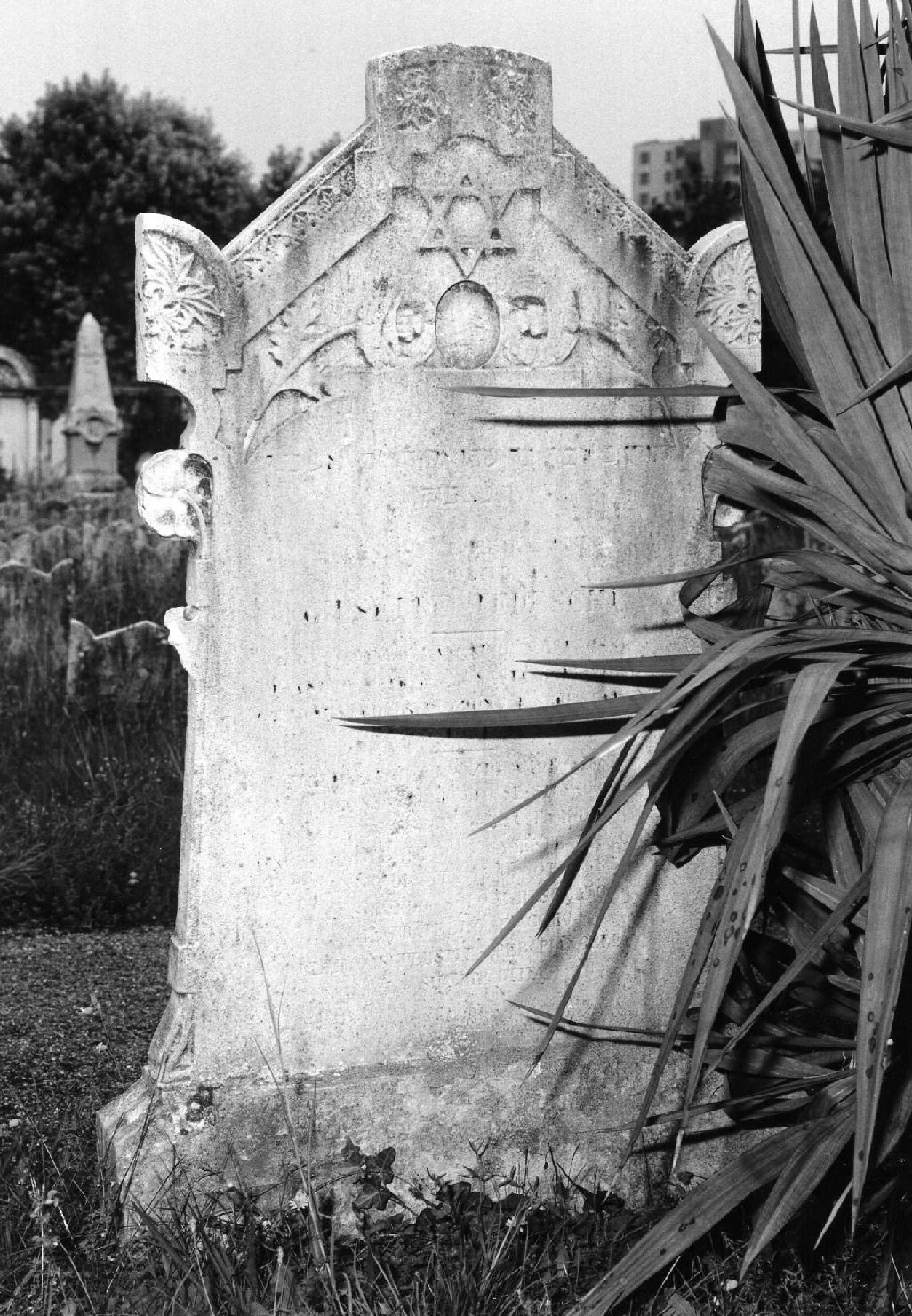 lapide tombale - ambito veneto (sec. XX)