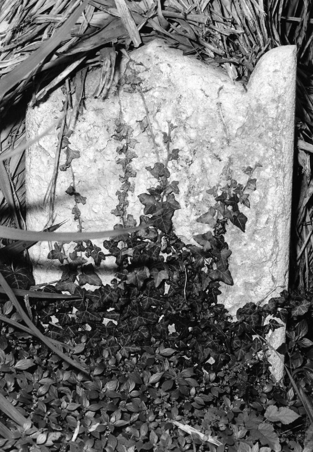 lapide tombale - ambito veneto (sec. XX)