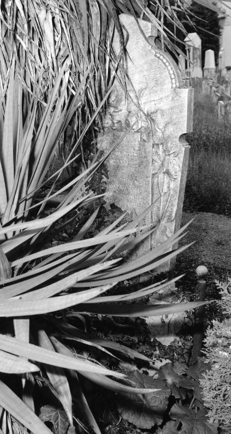 lapide tombale - ambito veneto (sec. XX)