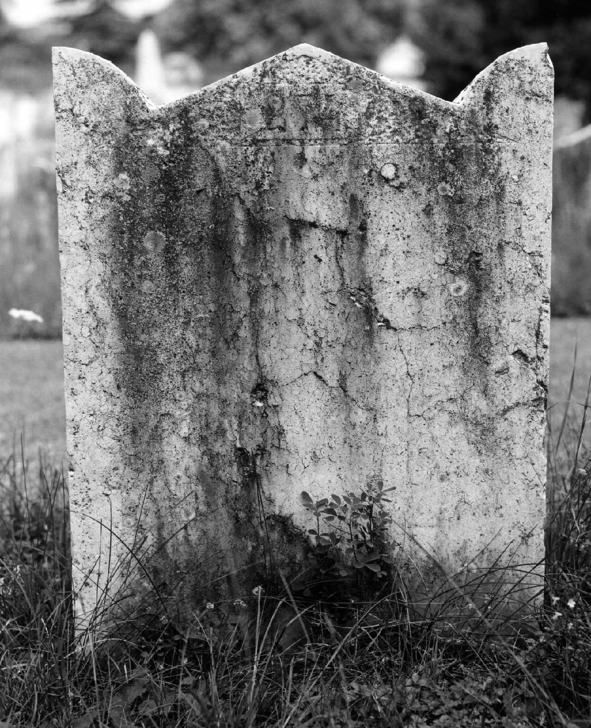 lapide tombale - ambito veneto (sec. XX)