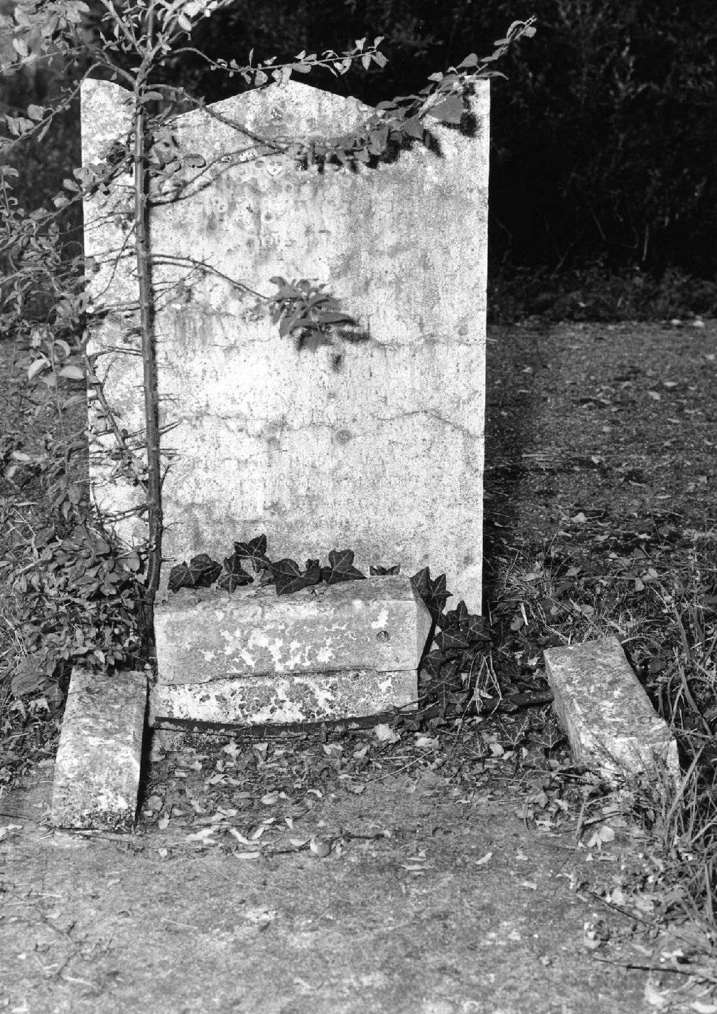 lapide tombale - ambito veneto (sec. XX)