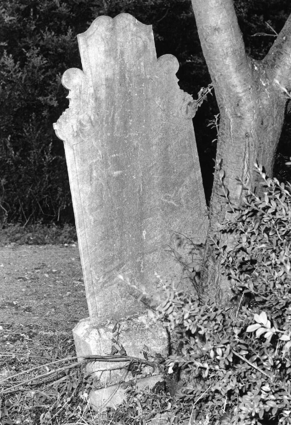 lapide tombale - ambito veneto (sec. XX)