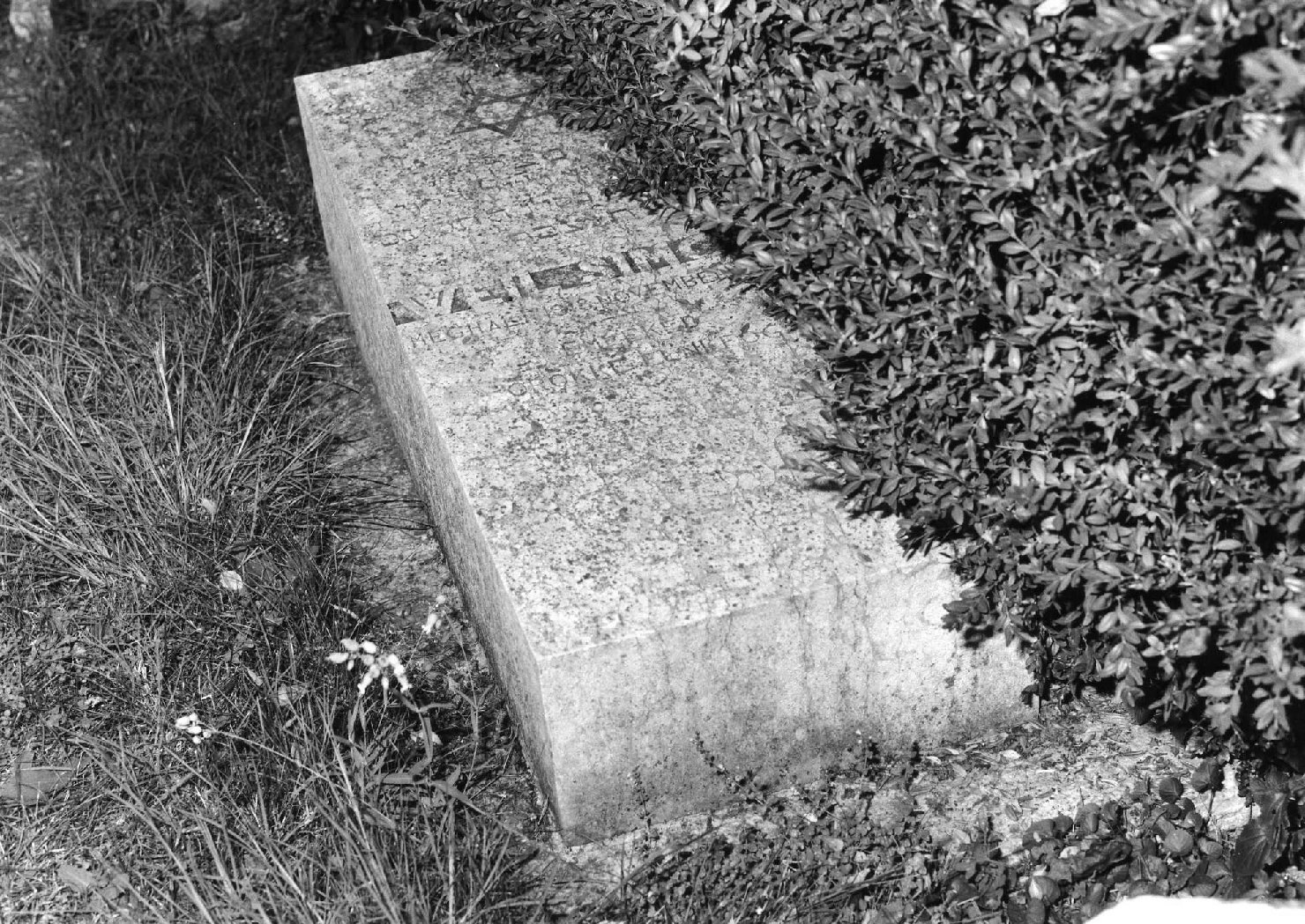 lapide tombale - ambito veneto (sec. XX)