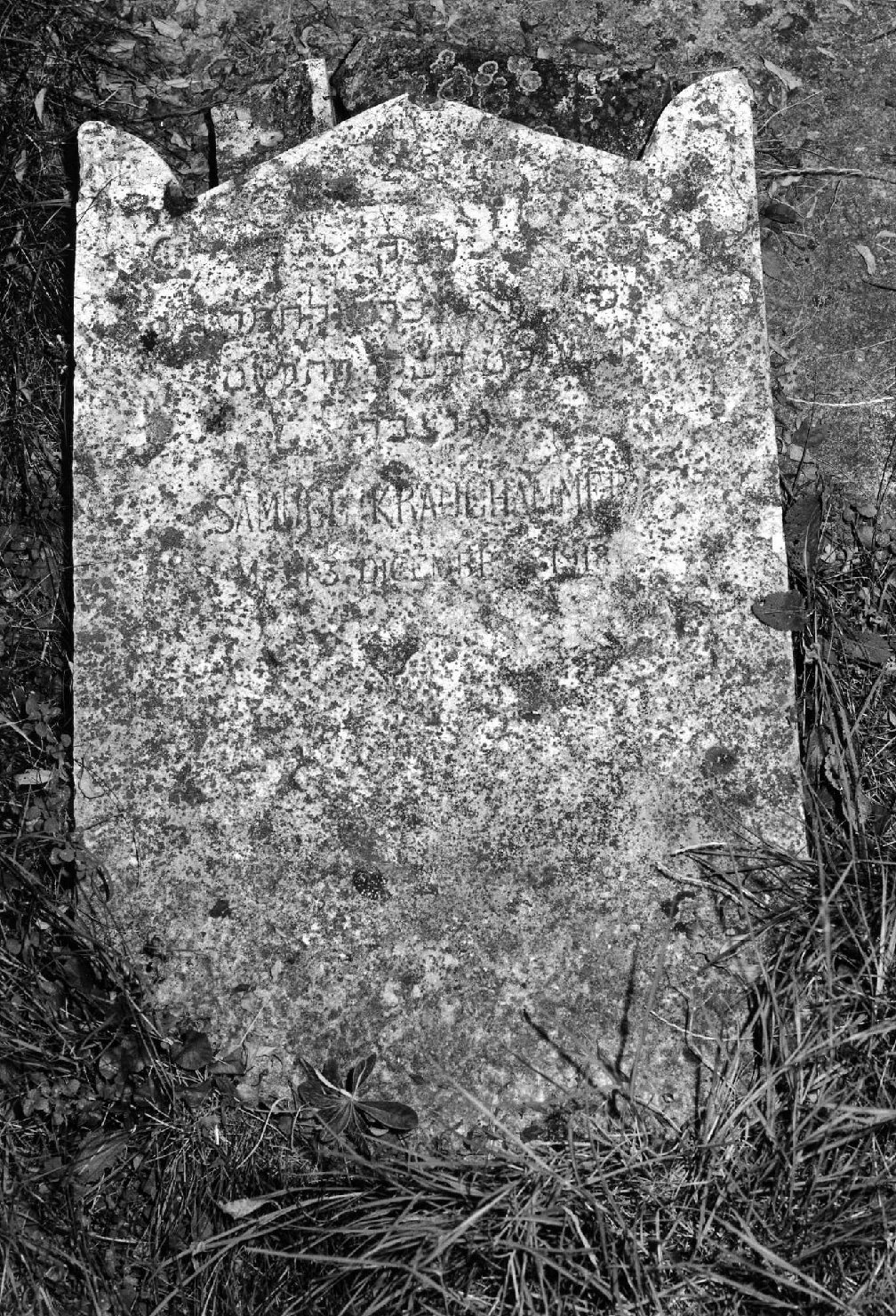 lapide tombale - ambito veneto (sec. XX)