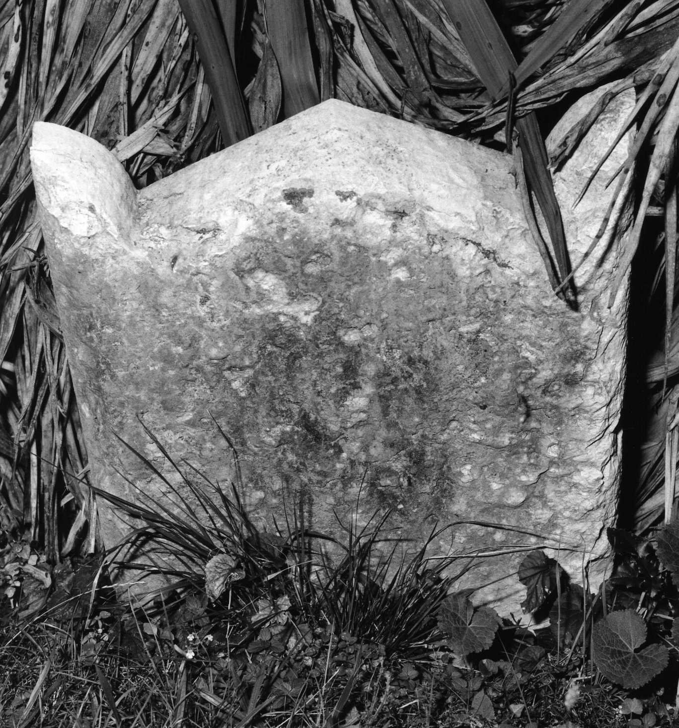 lapide tombale - ambito veneto (sec. XX)