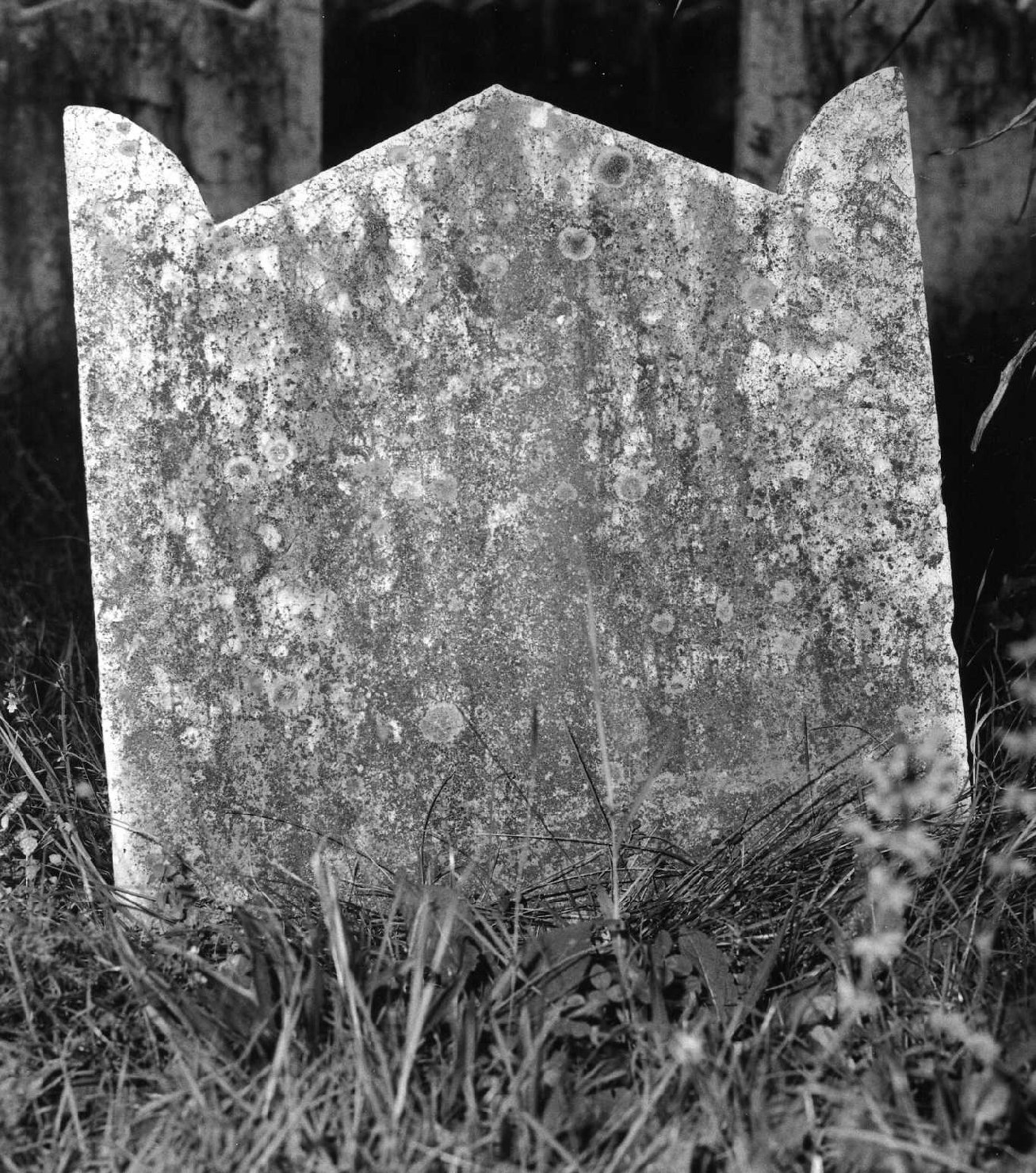 lapide tombale - ambito veneto (sec. XX)