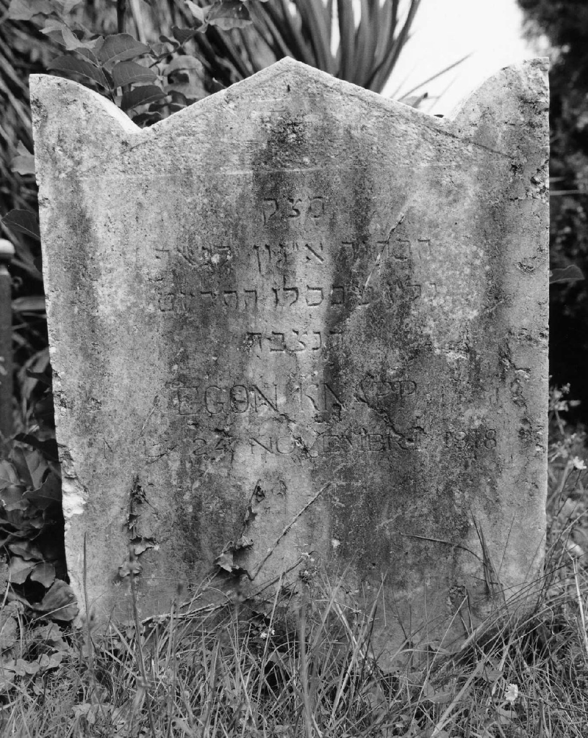 lapide tombale - ambito veneto (sec. XX)