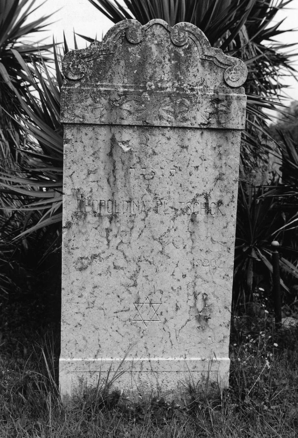 lapide tombale - ambito veneto (sec. XX)