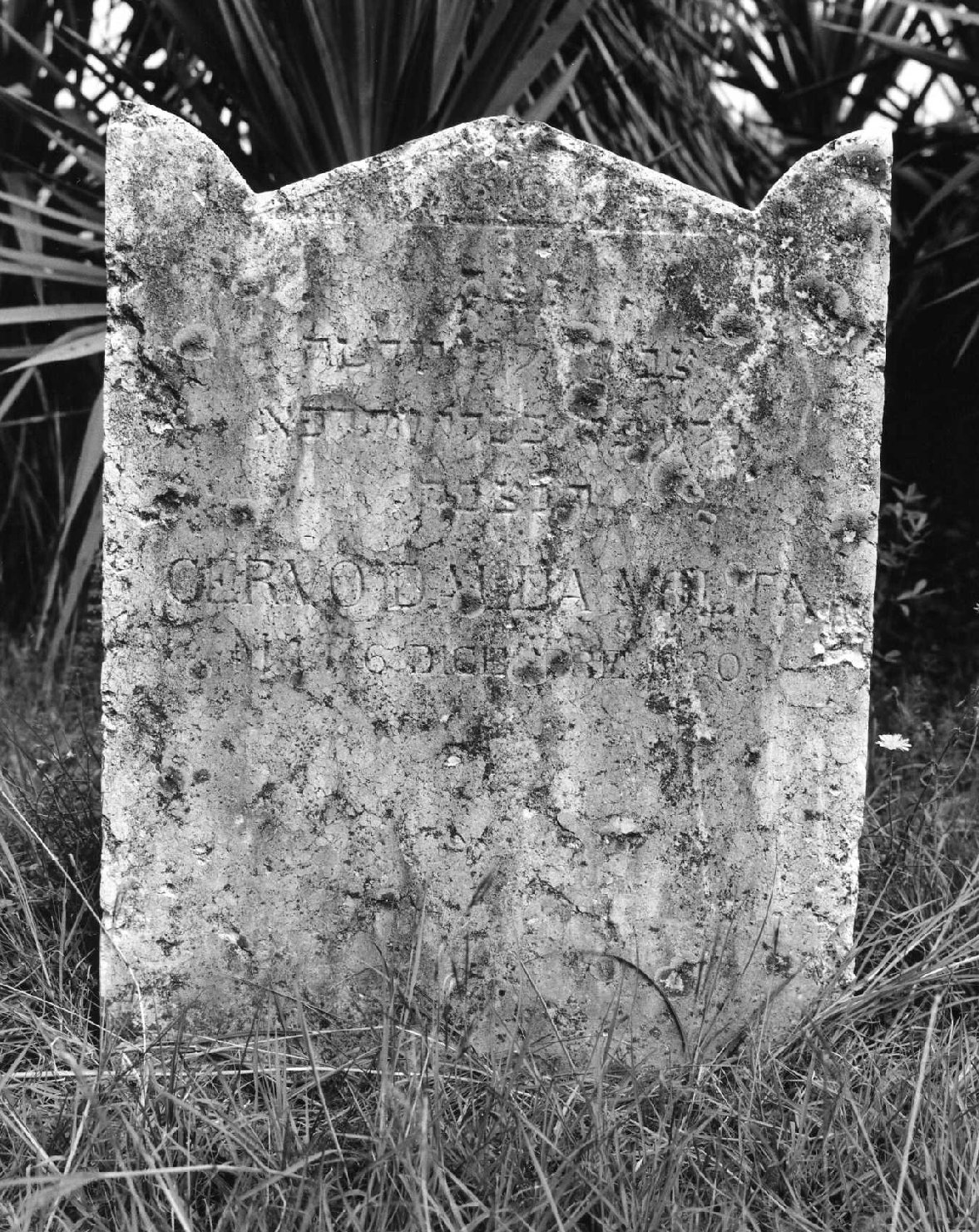 lapide tombale - ambito veneto (sec. XX)