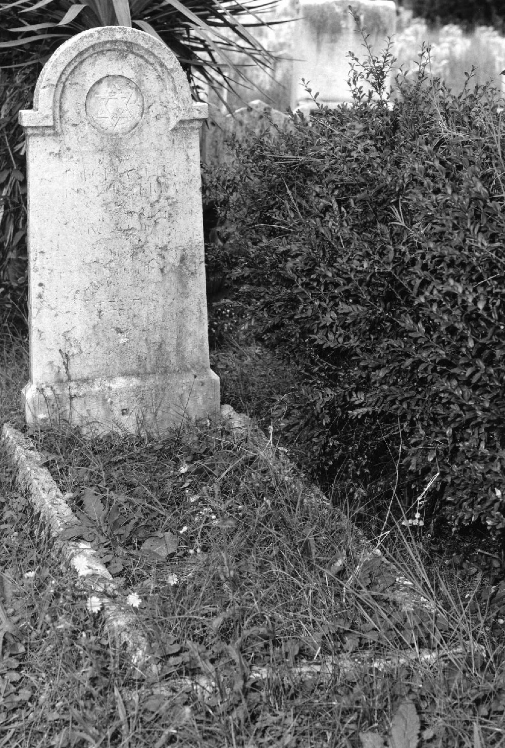 lapide tombale - ambito veneto (sec. XX)