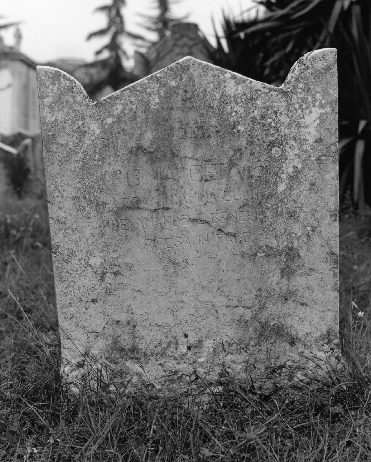 lapide tombale - ambito veneto (sec. XX)