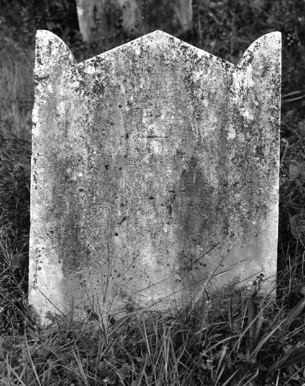 lapide tombale - ambito veneto (sec. XX)