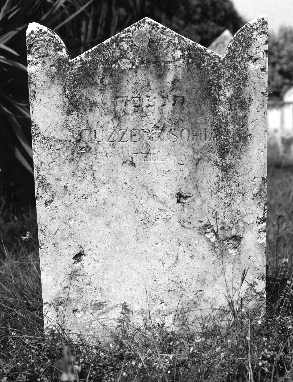 lapide tombale - ambito veneto (sec. XX)