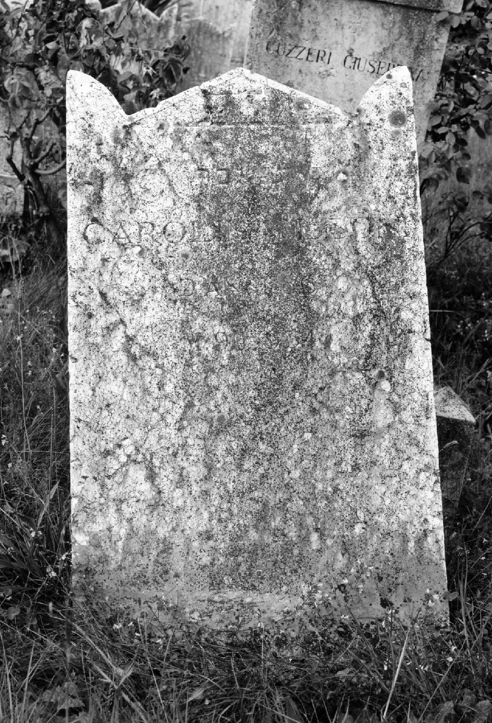 lapide tombale - ambito veneto (sec. XX)