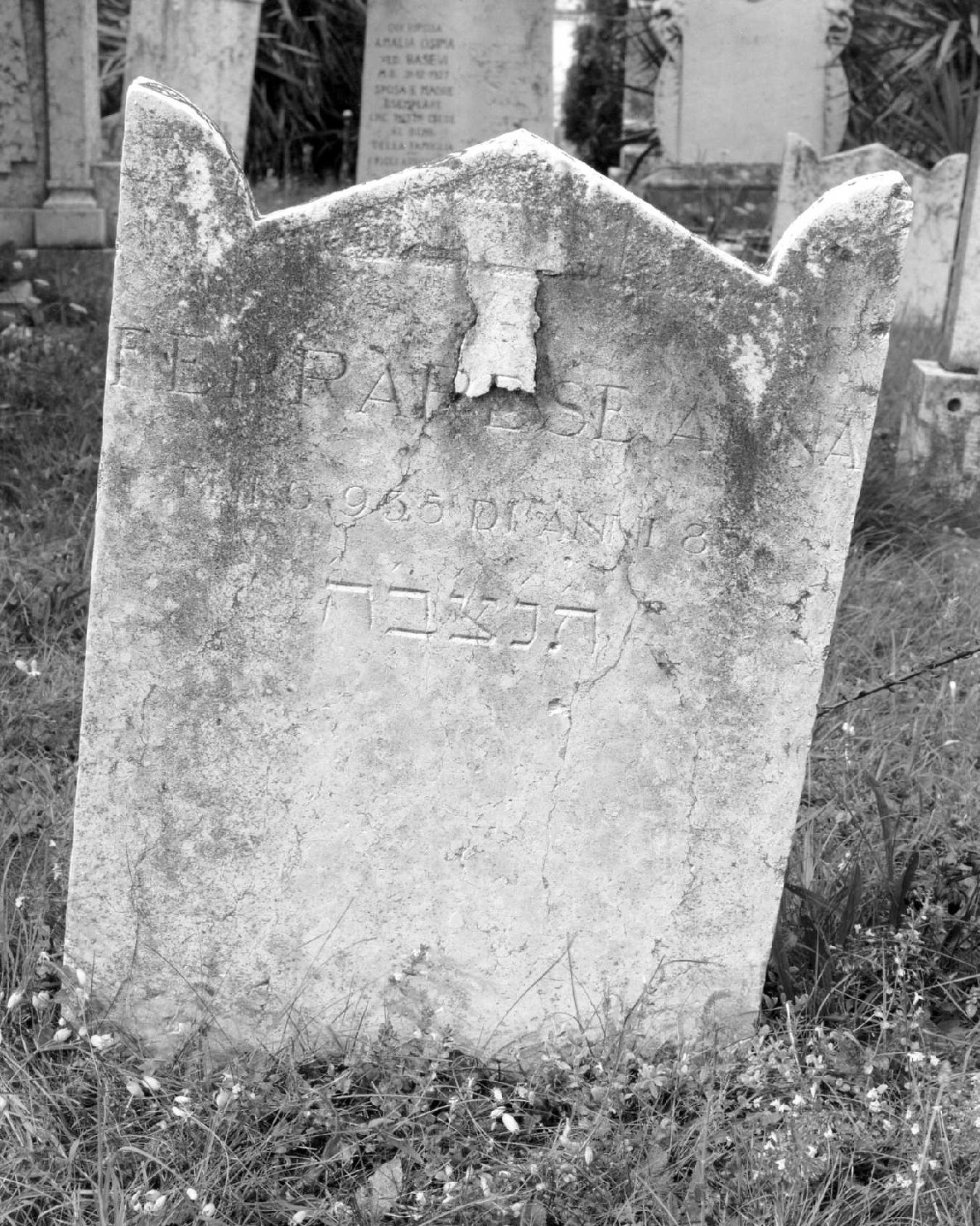 lapide tombale - ambito veneto (sec. XX)