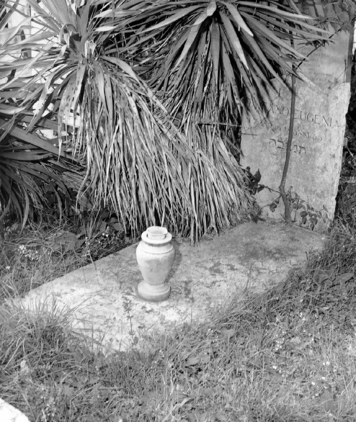 lapide tombale - ambito veneto (sec. XX)