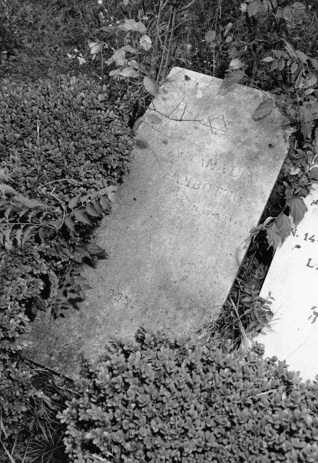 lapide tombale - ambito veneto (sec. XX)