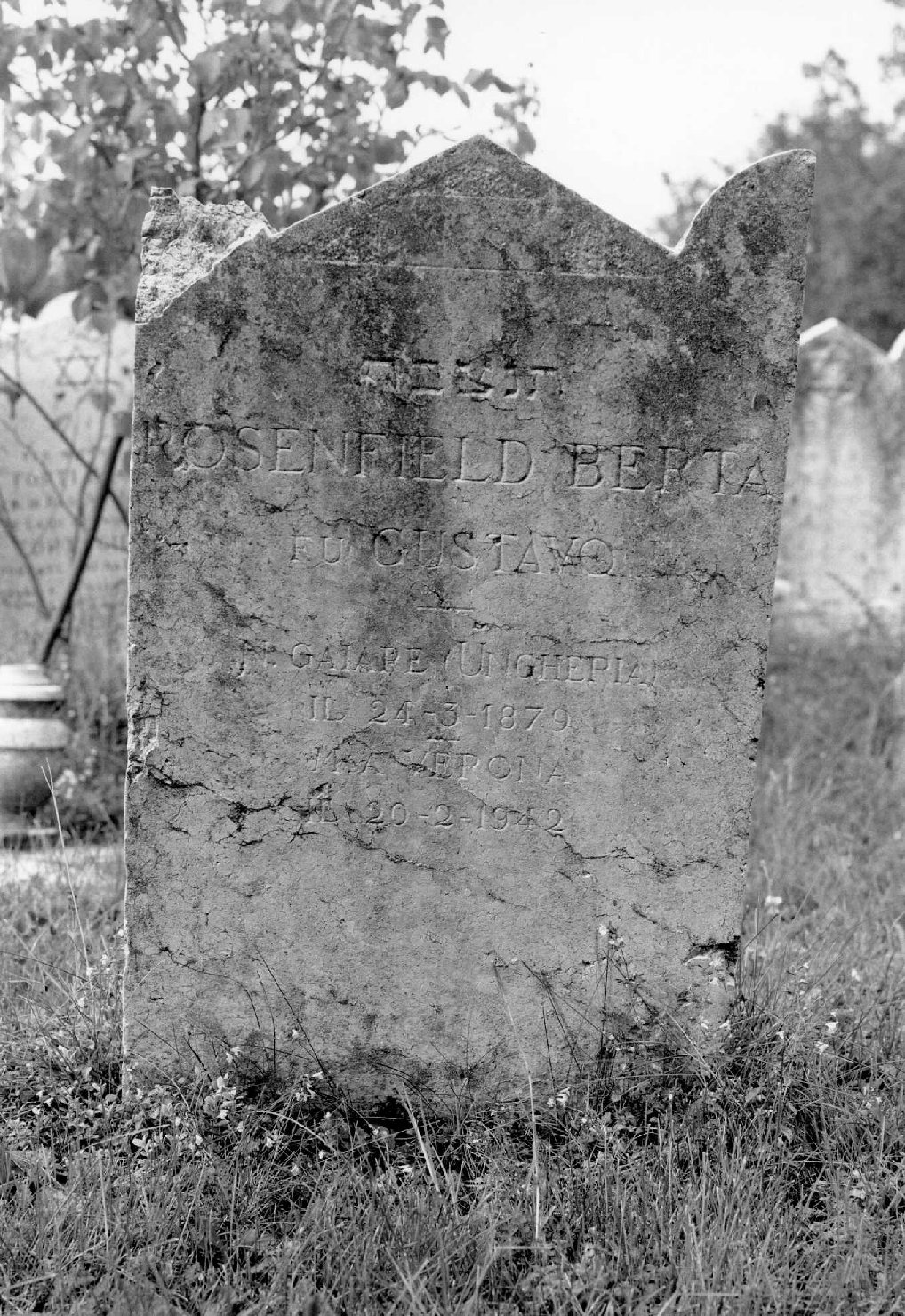 lapide tombale - ambito veneto (sec. XX)