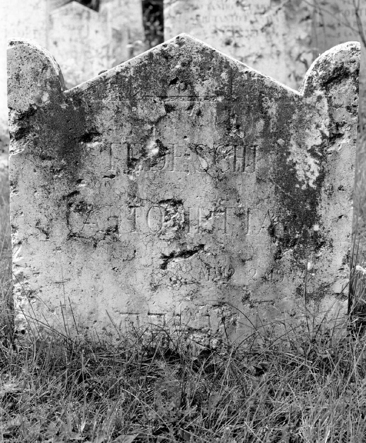 lapide tombale - ambito veneto (sec. XX)