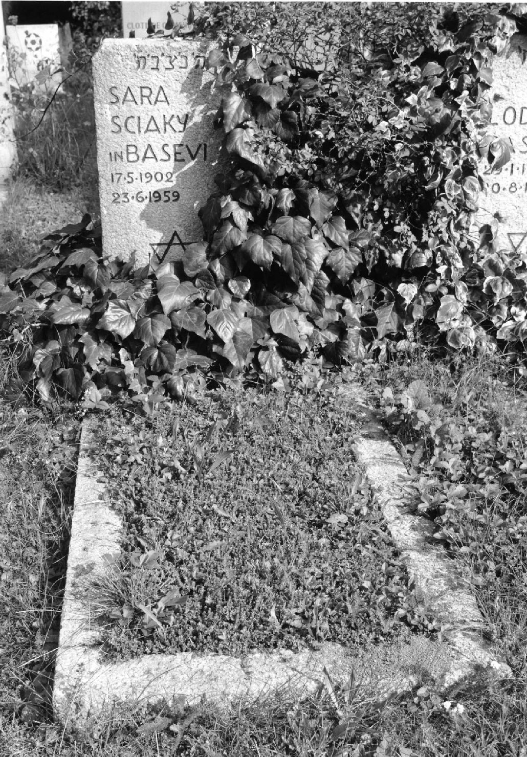 lapide tombale - ambito veneto (sec. XX)