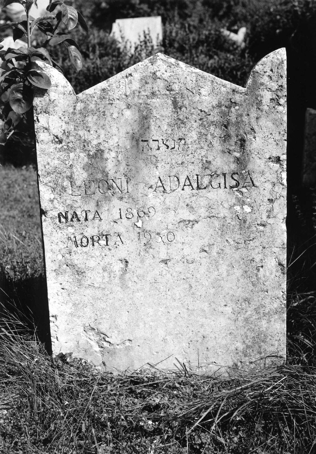 lapide tombale - ambito veneto (sec. XX)