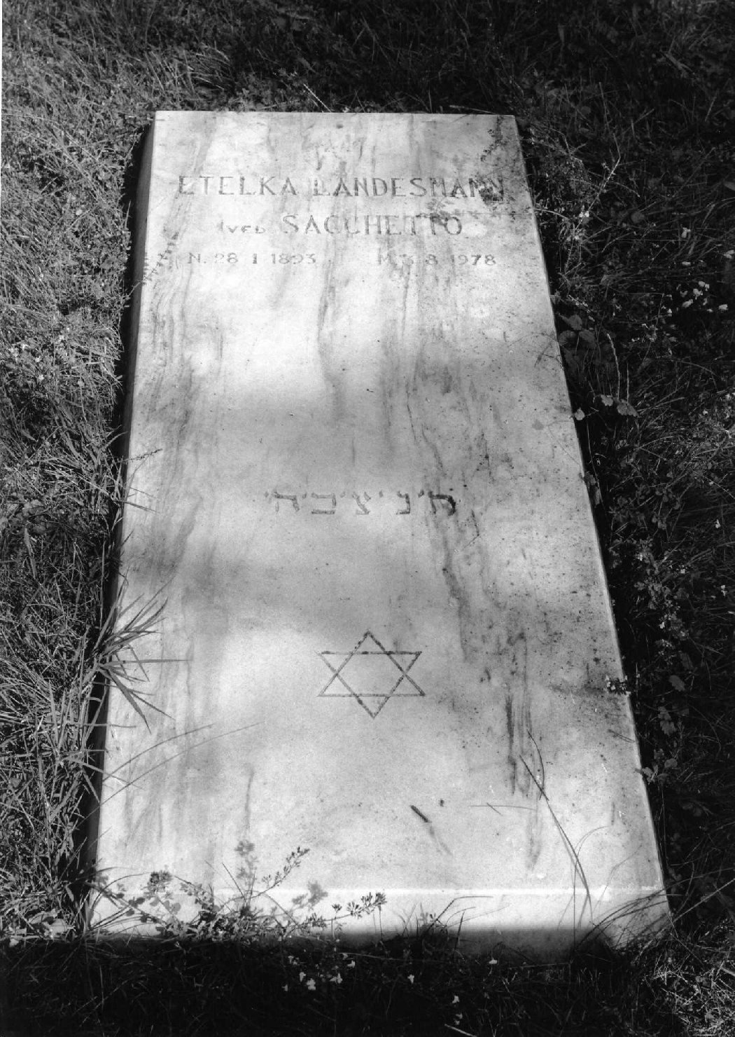 lapide tombale - ambito veneto (sec. XX)