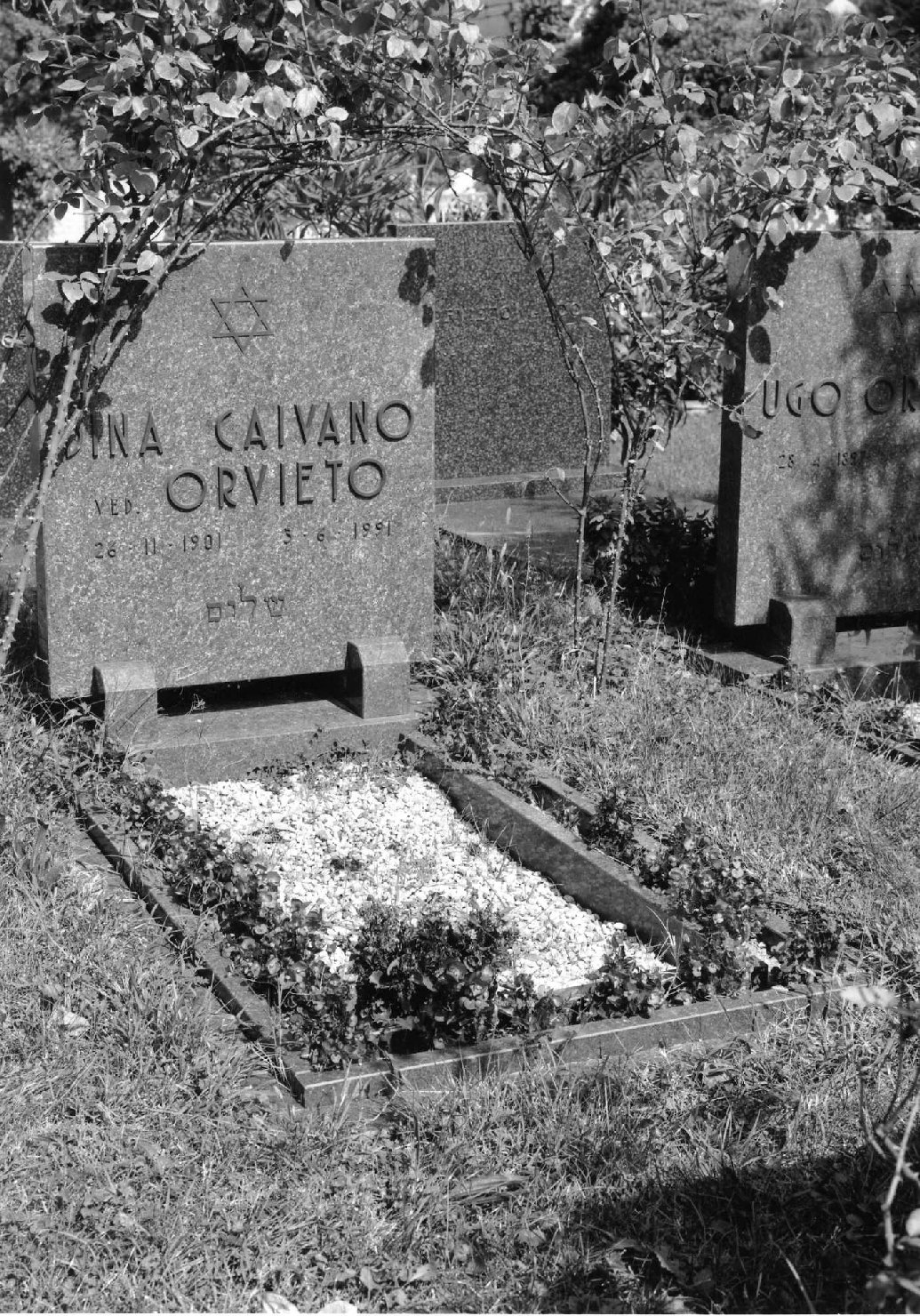 lapide tombale - ambito veneto (sec. XX)