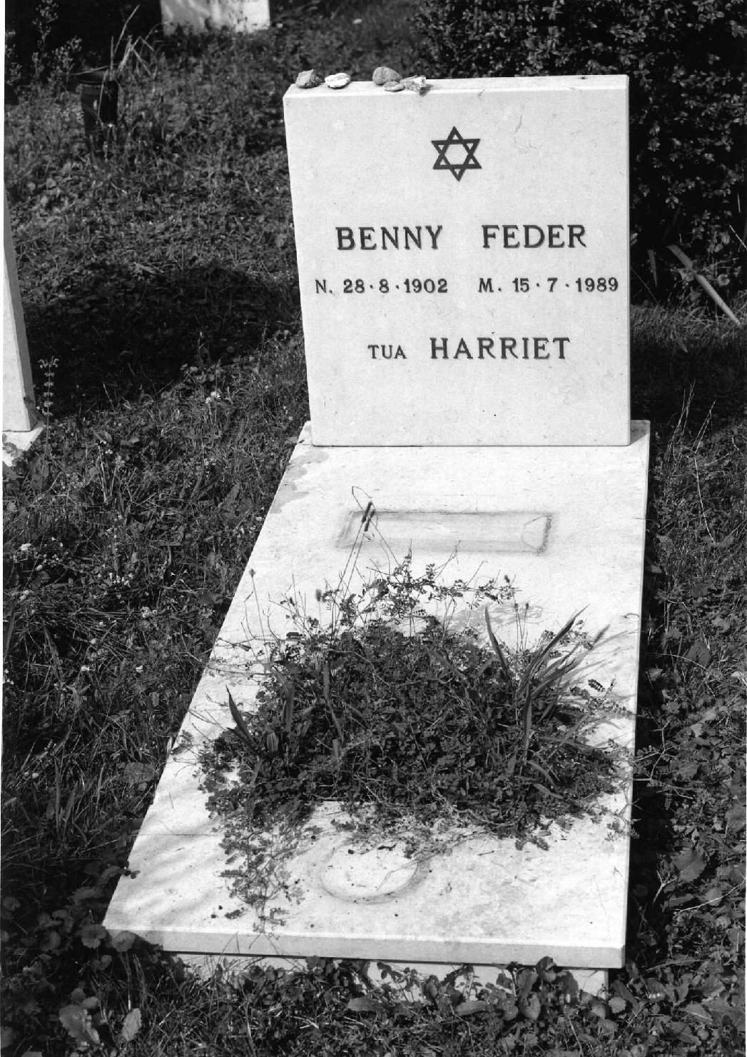 lapide tombale - ambito veneto (sec. XX)