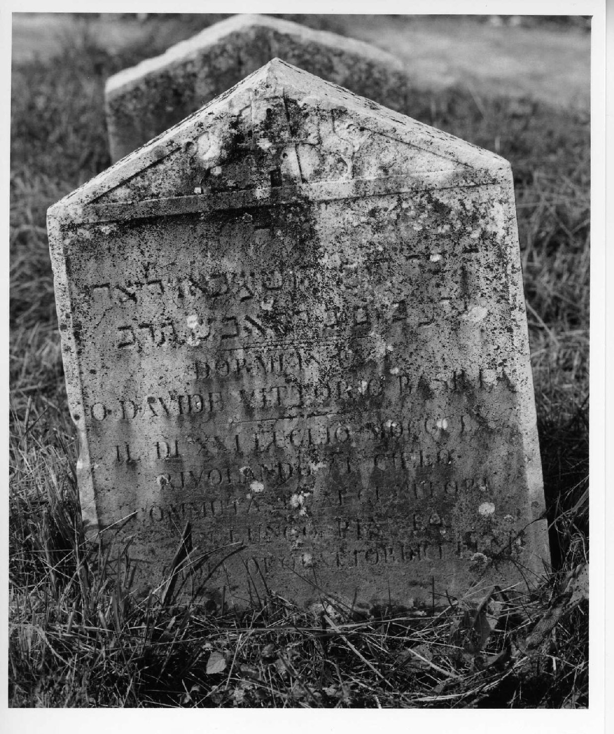 lapide tombale - ambito veneto (sec. XIX)