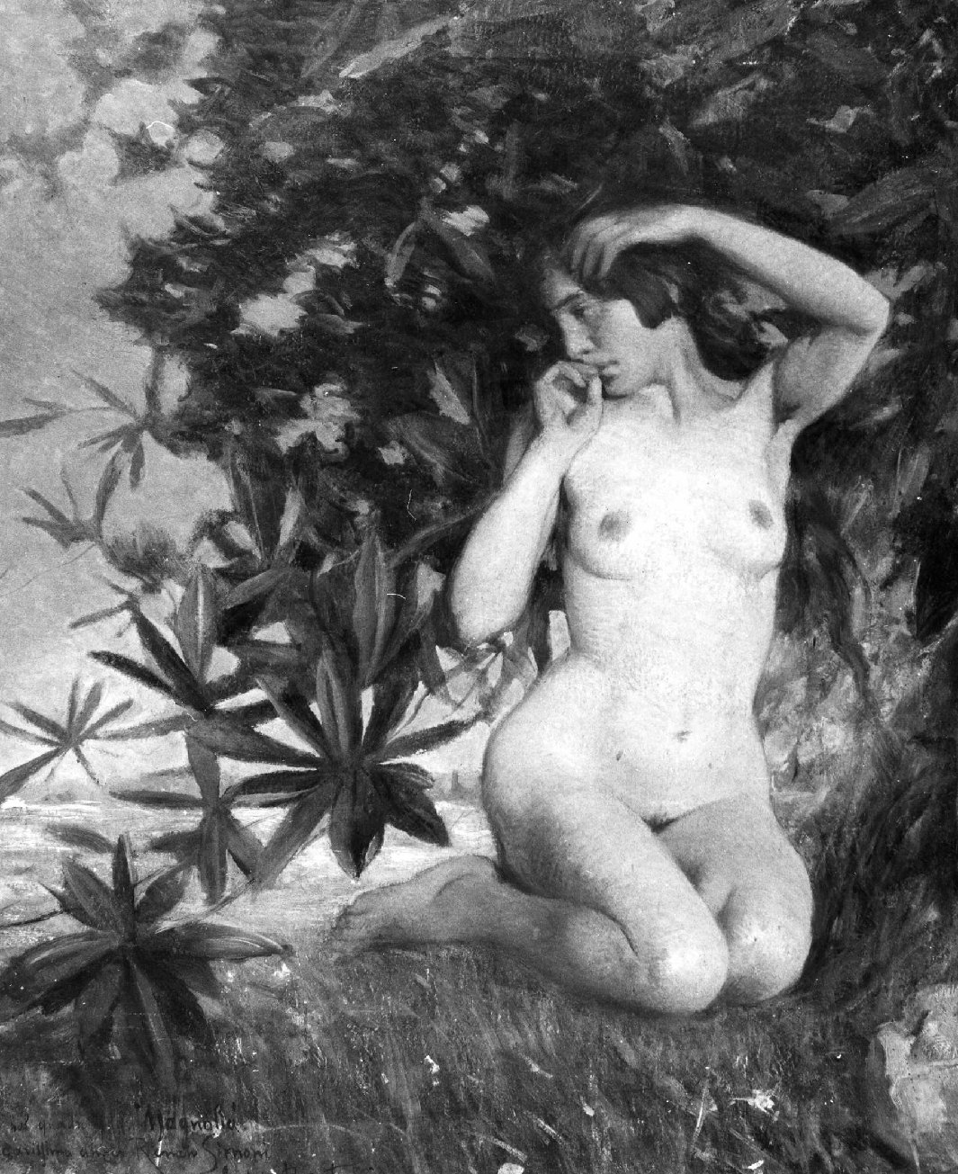 Studio per "Magnolia", figura femminile nuda (dipinto) di Bertini Guido (prima metà sec. XX)
