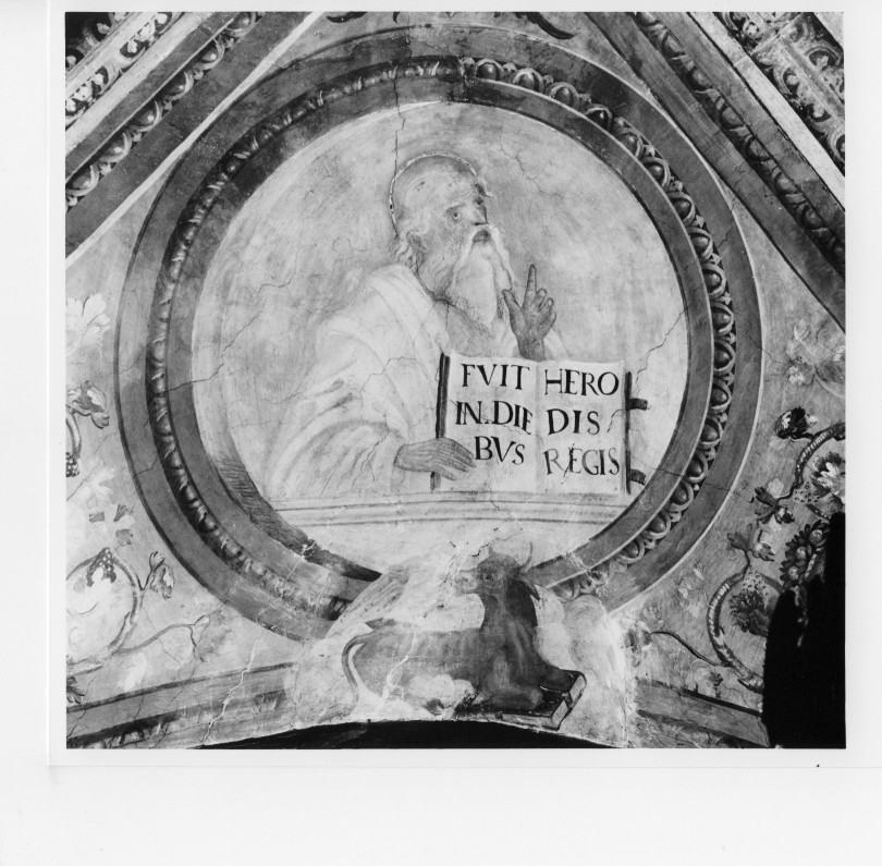 San Luca (dipinto) di Giolfino Nicola (attribuito) (prima metà sec. XVI)