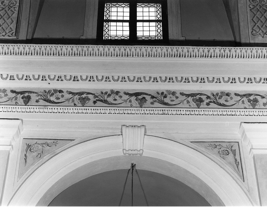 motivi decorativi a tralci di vite (decorazione pittorica) - ambito veronese (seconda metà sec. XVIII)