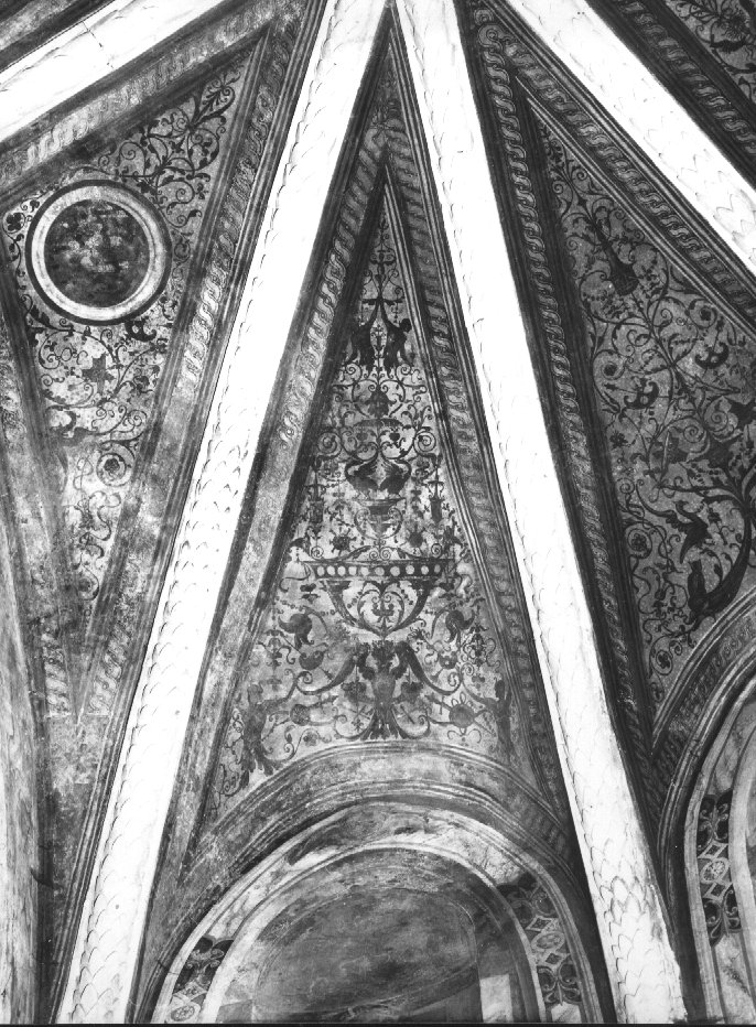 grottesche (dipinto, elemento d'insieme) di Cincani Bartolomeo detto Bartolomeo Montagna (bottega) (sec. XVI)
