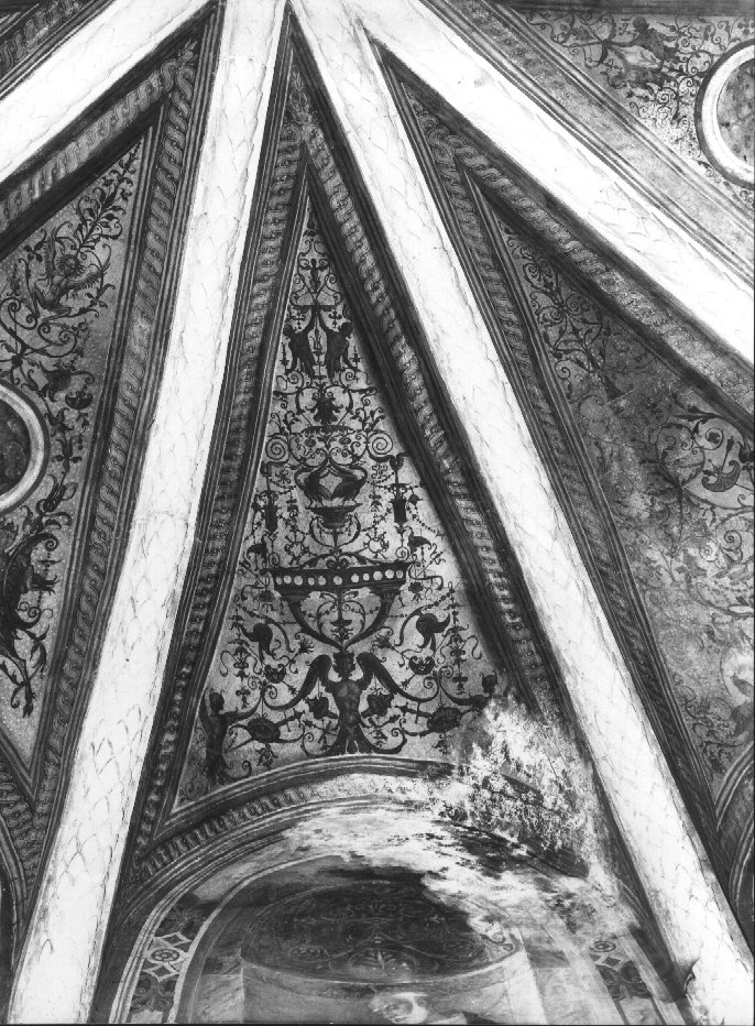 grottesche (dipinto, elemento d'insieme) di Cincani Bartolomeo detto Bartolomeo Montagna (bottega) (sec. XVI)