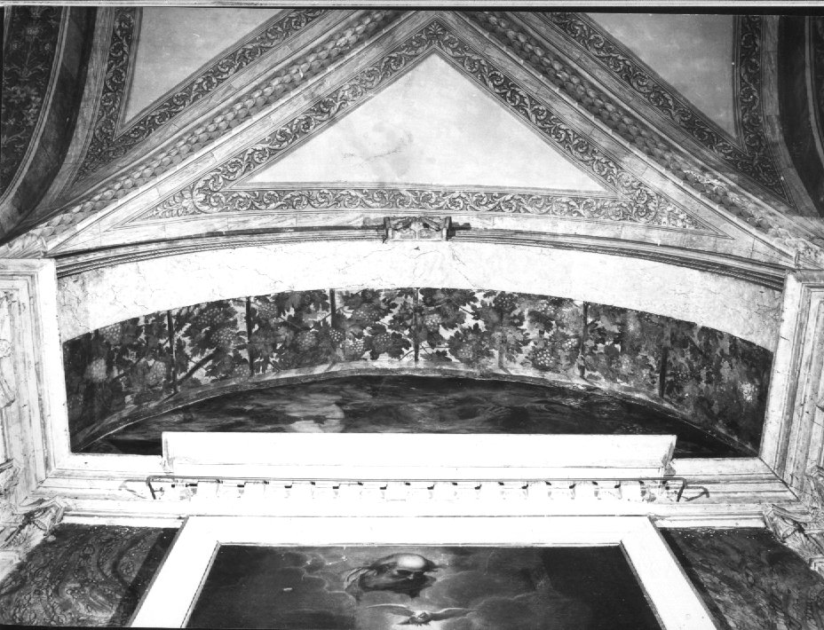 motivi decorativi a tralci di vite (dipinto) di Farinati Paolo (attribuito) (sec. XVI)