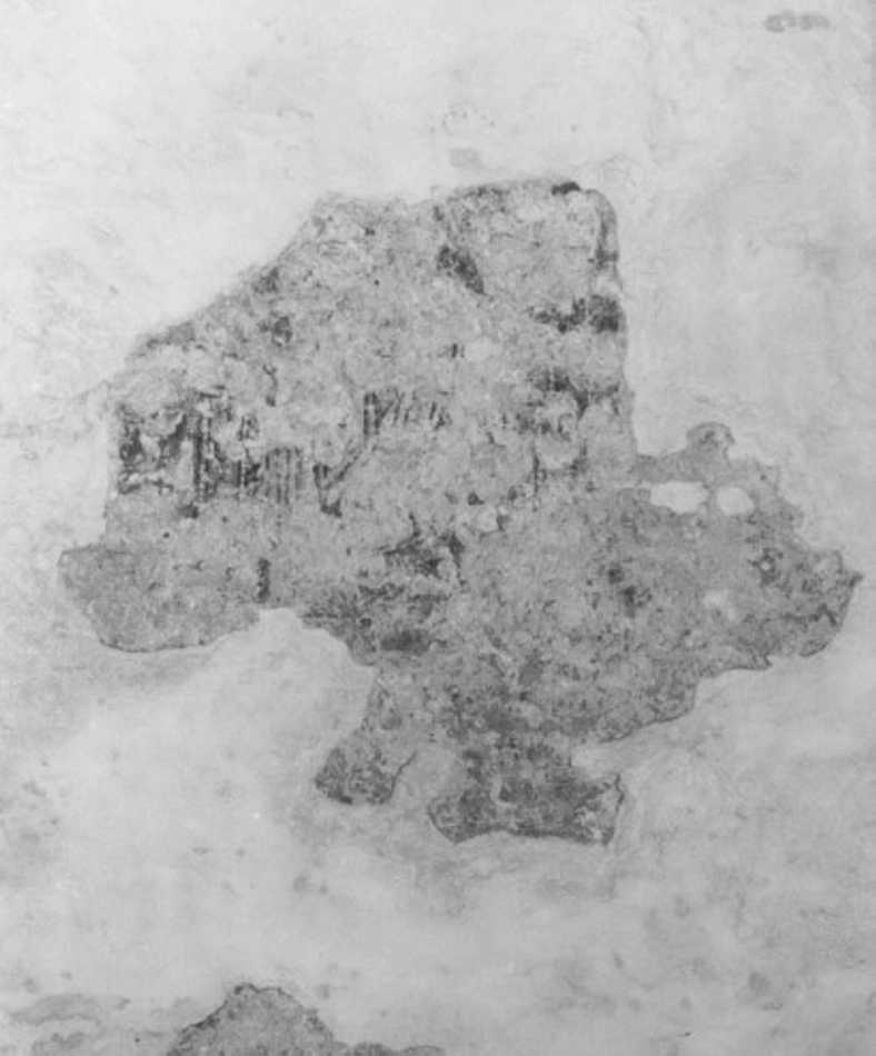 dipinto, frammento - ambito veneto (fine/inizio secc. XIII/ XIV)