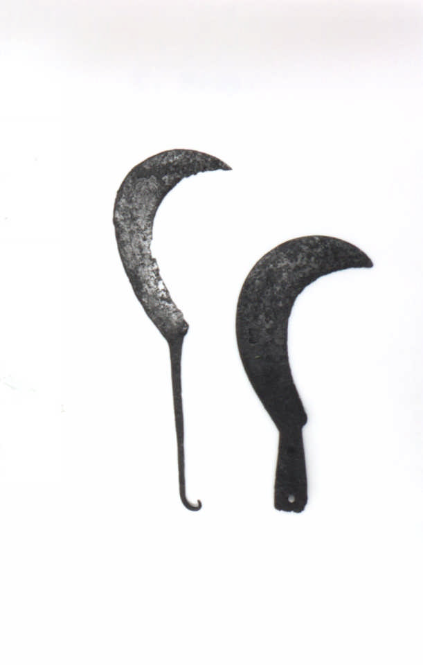 falce - ambito longobardo (secc. VIII/ XIX)