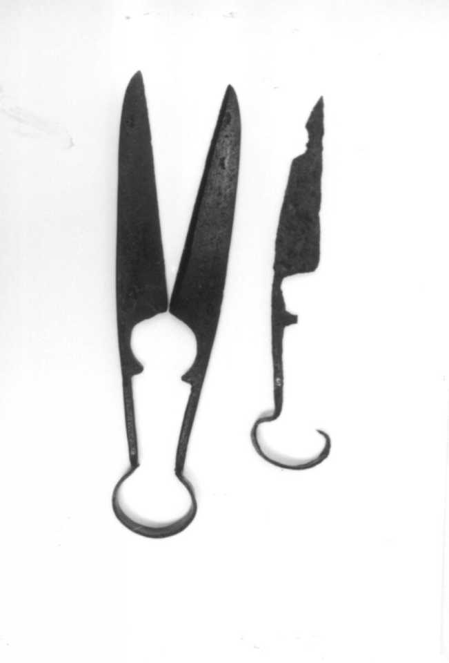 cesoie - ambito longobardo (secc. VIII/ XIX)