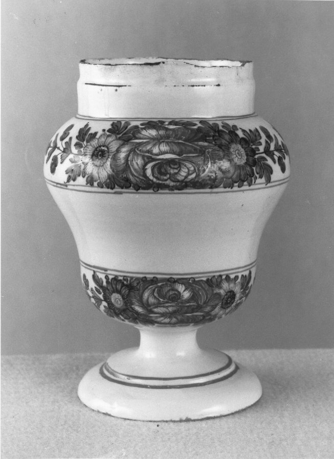 motivo decorativo a rosette (vaso da farmacia) di Antonibon Pasquale (sec. XVIII)