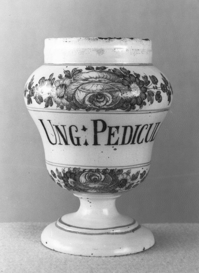 motivo decorativo a rosette (vaso da farmacia) di Antonibon Pasquale (sec. XVIII)