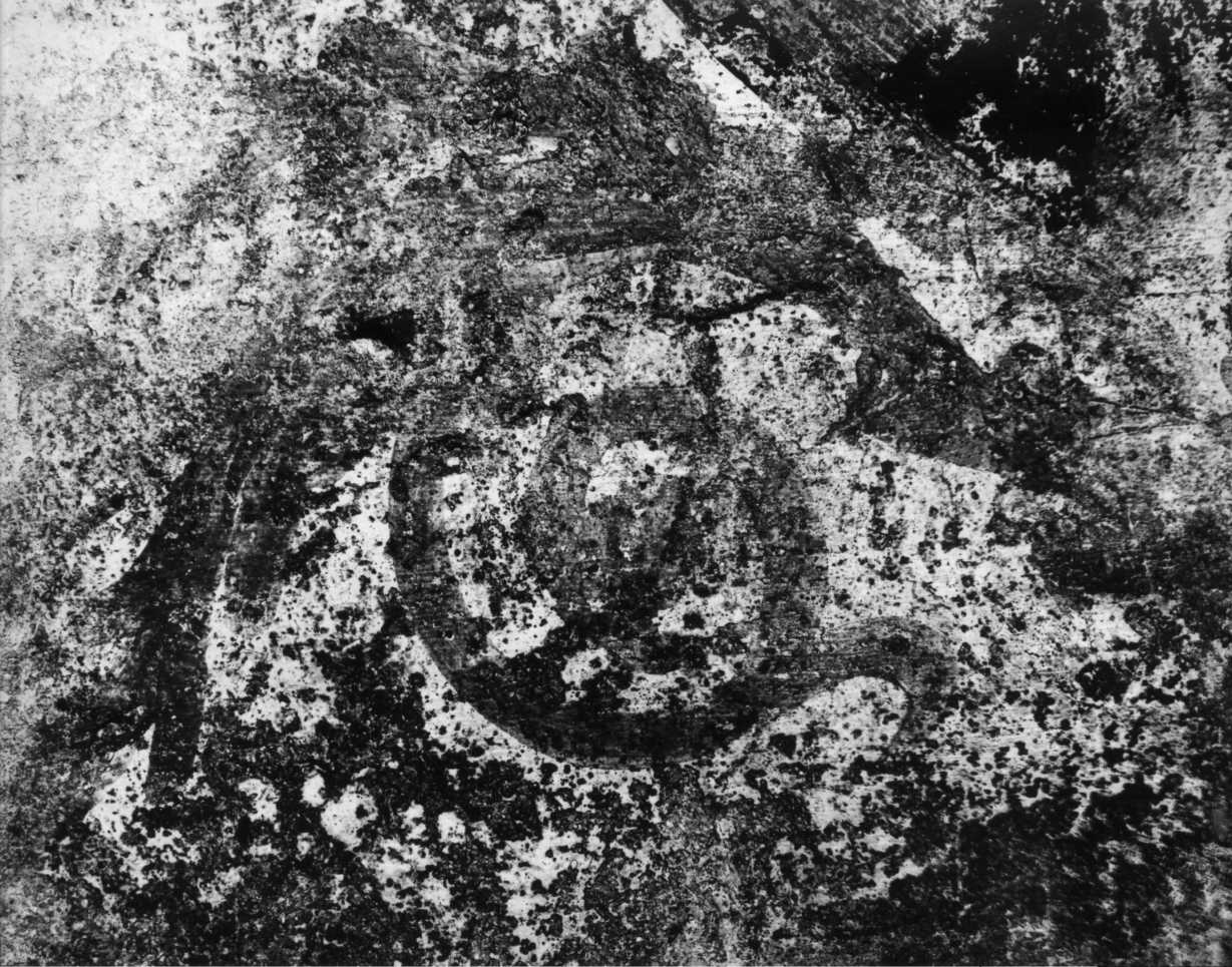 motivi decorativi a girali vegetali (dipinto) - ambito veneto (seconda metà sec. XII)