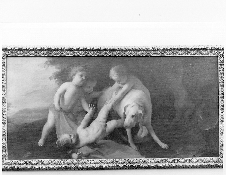 Putti che giocano con un cane, putti (dipinto, opera isolata) di Amigoni Jacopo (prima metà sec. XVIII)