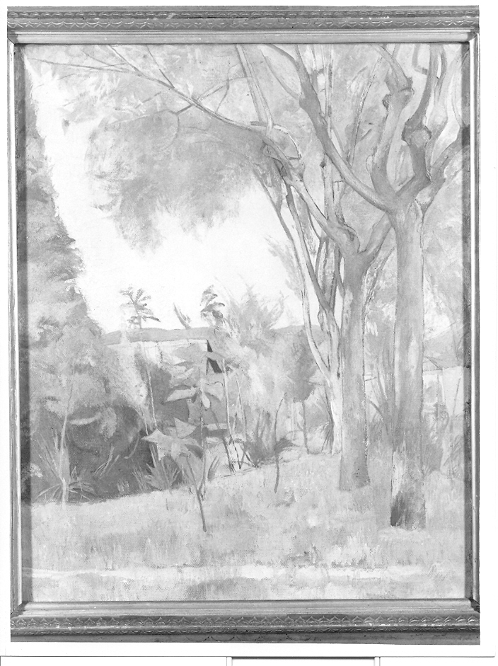 Alberi (Dormeletto), paesaggio (dipinto, opera isolata) di Penagini Siro (sec. XX)