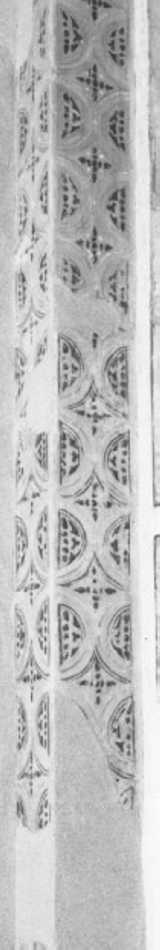 motivi decorativi (dipinto, frammento) di Badile Giovanni (attribuito) (sec. XV)