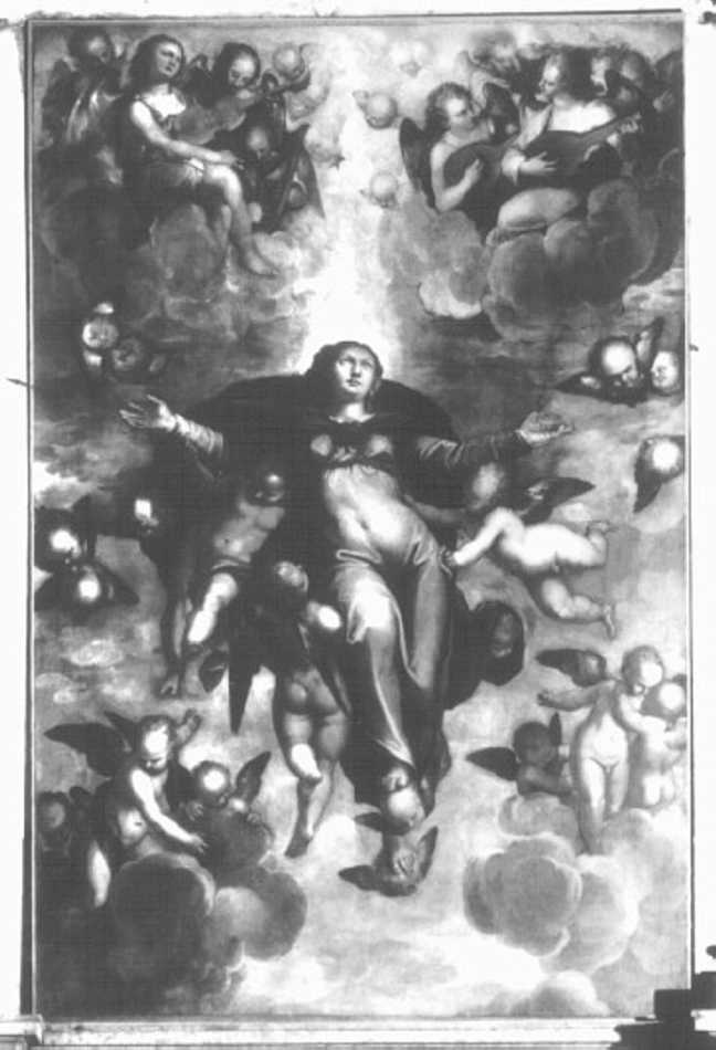 Madonna Assunta (dipinto) di Riccio Felice detto Brusasorzi (sec. XVI)