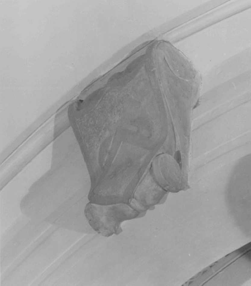 stemma gentilizio (rilievo) - ambito veneto (seconda metà sec. XVIII)