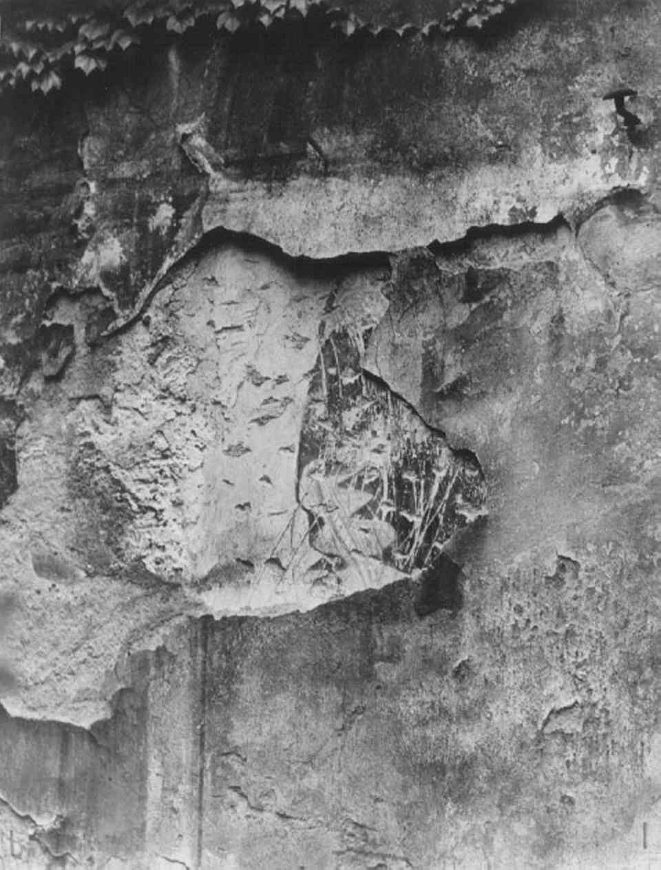 dipinto - ambito veronese (sec. XIV)