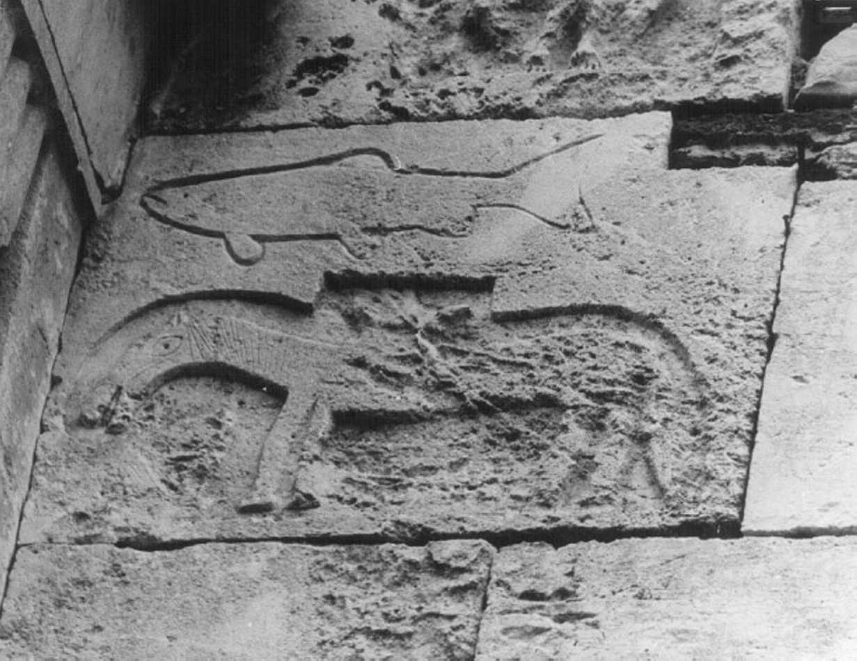 cavallo (rilievo, frammento) - ambito veneto (sec. XI)