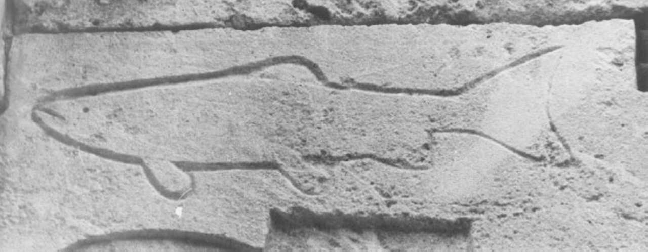 pesce (rilievo) - ambito veronese (sec. XII)