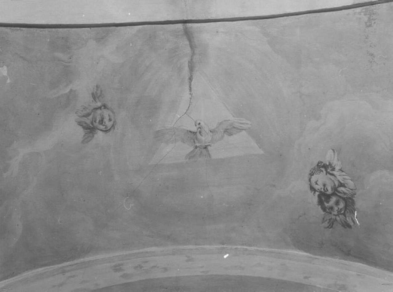 colomba dello Spirito Santo (dipinto) - ambito veronese (sec. XVIII)